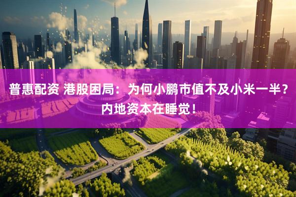普惠配资 港股困局：为何小鹏市值不及小米一半？内地资本在睡觉！